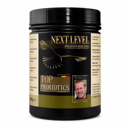 Next Level Top Probiotics – Probiotice