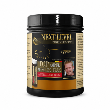 Next Level Top Ampul Muscles Plus – Aminoacizi pentru Recuperare, 16x25ml