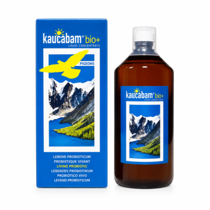 Kaucabam Bio+ – Concentrat de chefir fermentat, 1000 ml