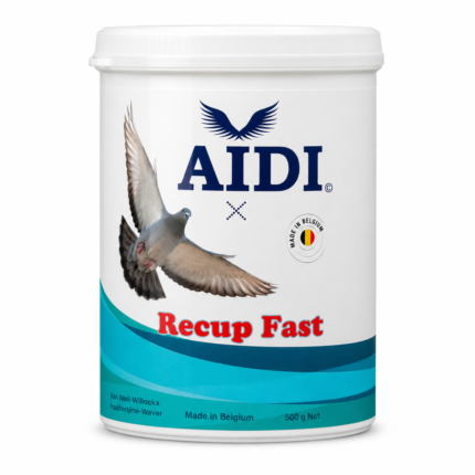 AIDI Recup Fast