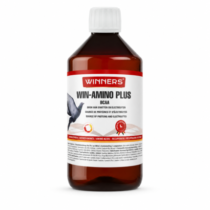 Belgian Winners Win-Amino Plus BCAA, 250ml
