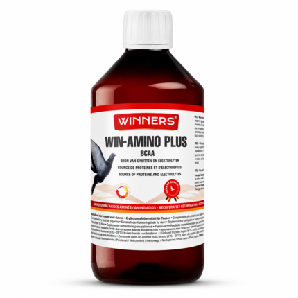Belgian Winners Win-Amino Plus BCAA