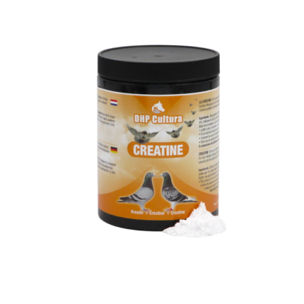 DHP CULTURA CREATINA  500G