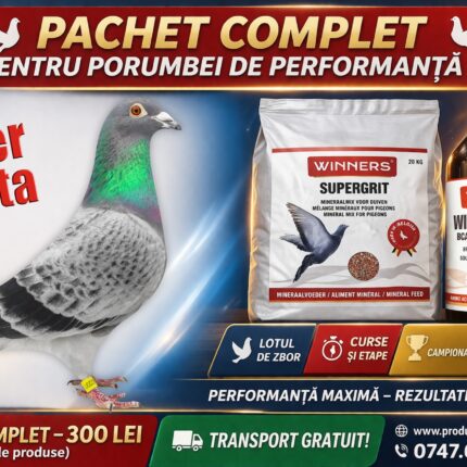 Pachet Masă Musculară Winners Supergrit + Winners Win-Amino Plus – Energie, Forță și Recuperare Rapidă