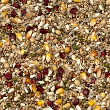 Vanrobaeys F3 Fuel Flight Force NR. 903