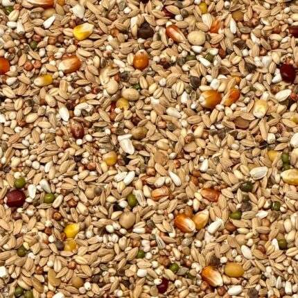 Vanrobaeys F1 Recovery Flight Force NR. 901 