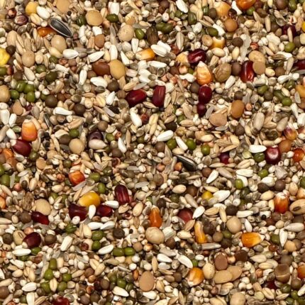 Vanrobaeys F2 Prepare Flight Force NR. 902