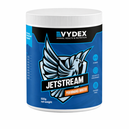 Jetstream Vydex – Energie, Viteză și Rezistență 