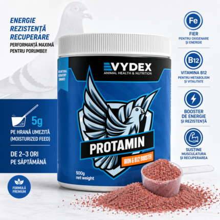 Protamin Vydex – Fier & Vitamina B12,