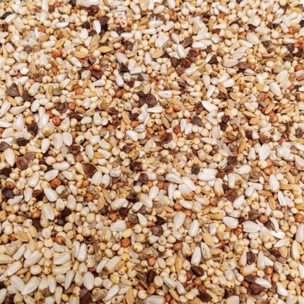 Premium Power Light Energy Nr. 175 Vanrobaeys – Hrana Energetică