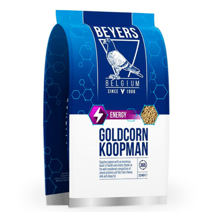 BEYERS Goldcorn Koopman Energy