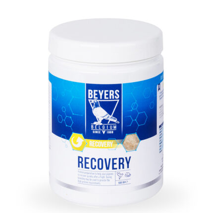 BEYERS Recovery