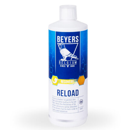 BEYERS Reload Recovery – Aminoacizi, electroliți și minerale
