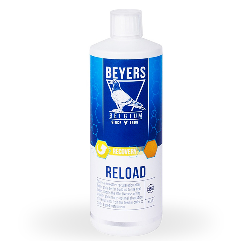 BEYERS Reload Recovery – Aminoacizi, electroliți și minerale BEYERS Reload Recovery – Aminoacizi, electroliți și minerale