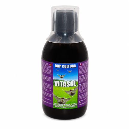 DHP Vitasol – Electroliți, Vitamina E, B2 și Seleniu, 1000 ml