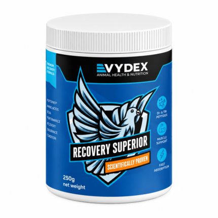 Vydex Recovery Superior – Proteine și Aminoacizi, 250 g
