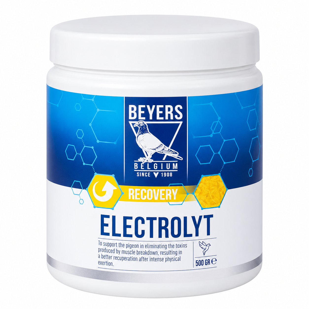 Beyers Electrolyt Recovery Beyers Electrolyt Recovery