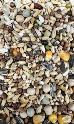 WhatsApp Image 2026-01-21 at 13.58.43