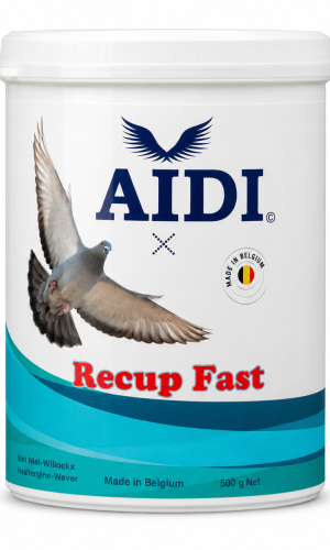 AIDI Recup Fast