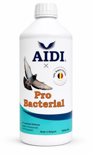 AIDI Pro Bacterial – Soluție Antibacteriană