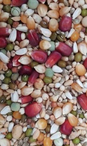 AIDI MIX 2